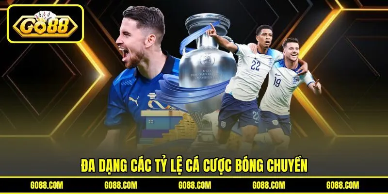 Đa dạng các tỷ lệ cá cược bóng chuyền
